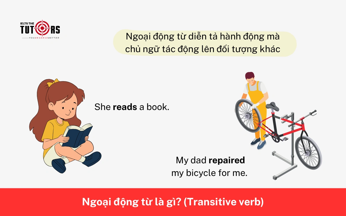 Ngoại động từ là gì 17112501
