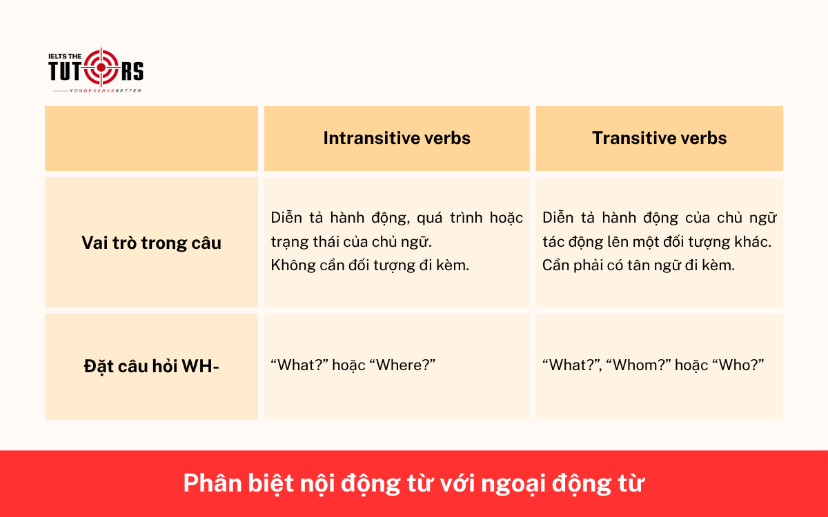 Phân biệt nội động từ tiếng Anh và ngoại động từ