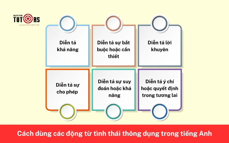 các động từ tình thái thông dụng 24112502