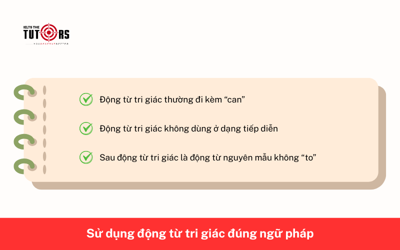 các kiến thức ngữ pháp liên quan tới động từ tri giác 25112504