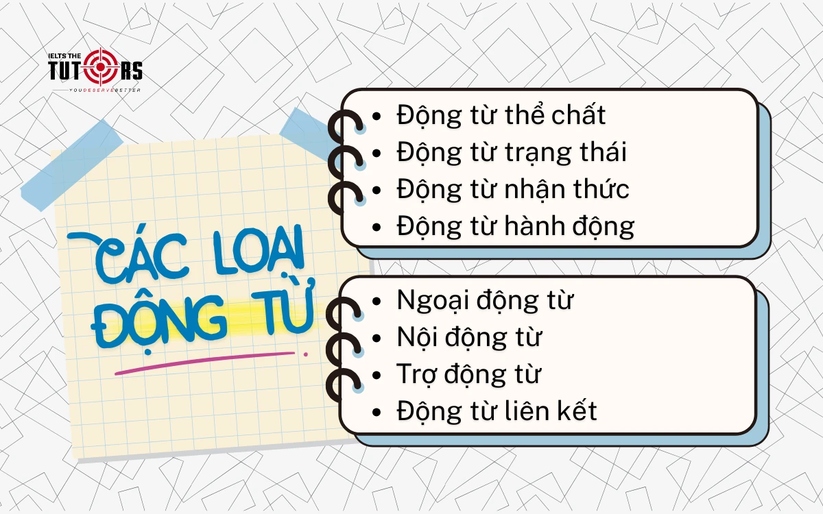 các loại động từ trong tiếng Anh
