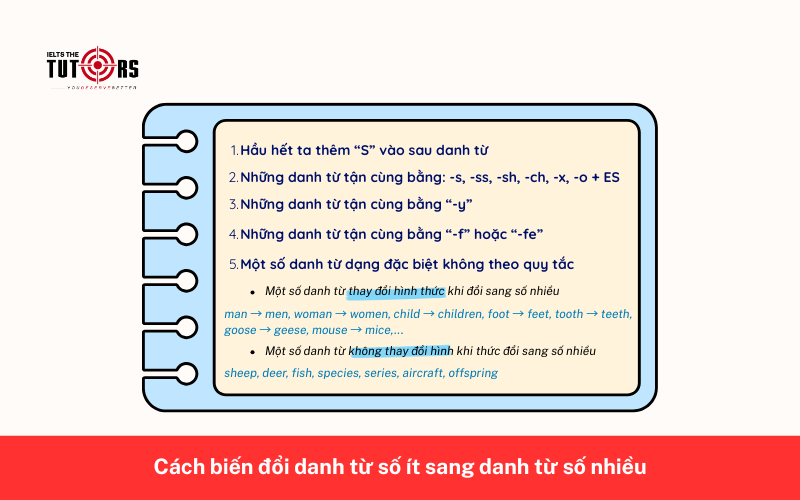 Cách biến đổi danh từ số ít sang danh từ số nhiều