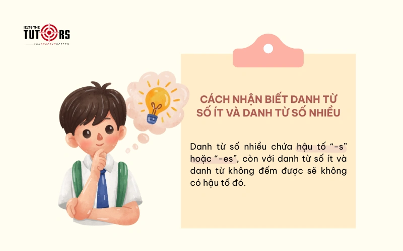 Cách nhận biết danh từ số ít và danh từ số nhiều