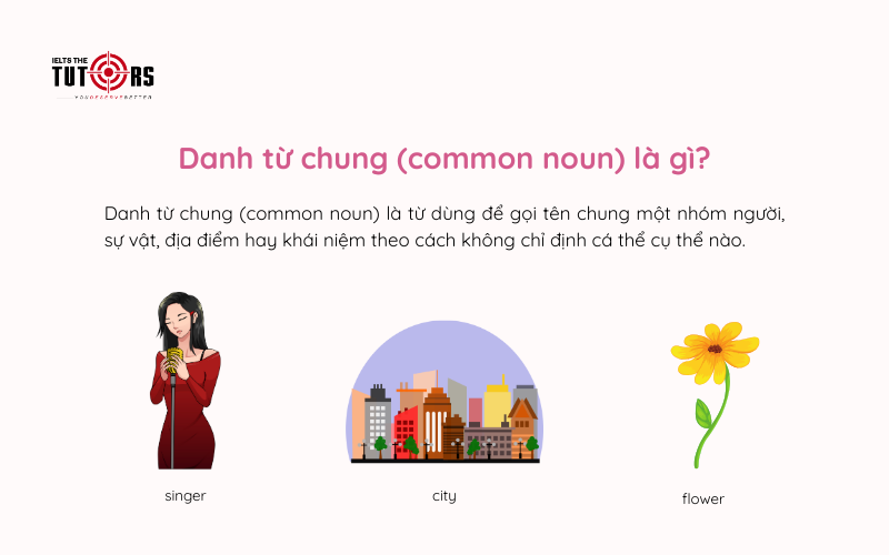 Danh từ chung (common noun) là gì