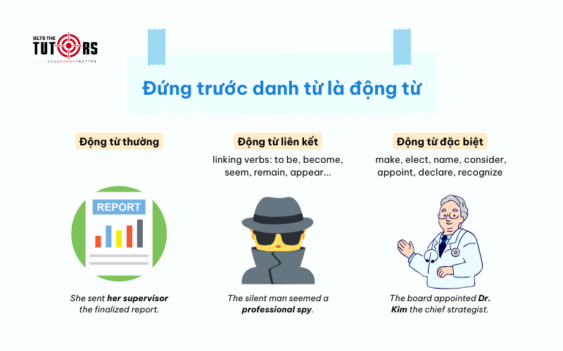 Đứng trước danh từ là động từ