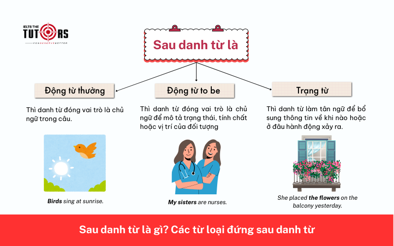 Sau danh từ là gì
