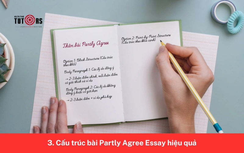 Cấu trúc bài Partly Agree Essay
