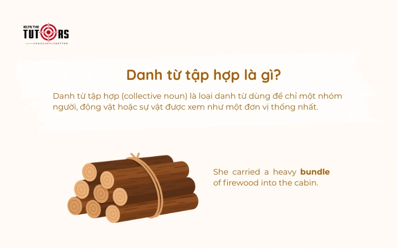 Danh từ tập hợp là gì