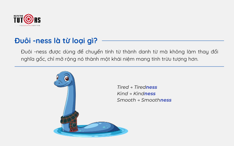 Đuôi -ness là từ loại gì