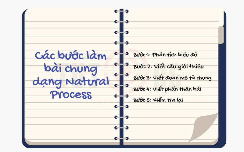 Các bước làm bài Natural Process