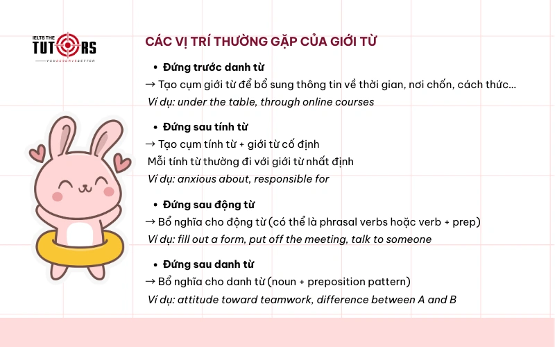 Các vị trí thường gặp của giới từ trong tiếng Anh