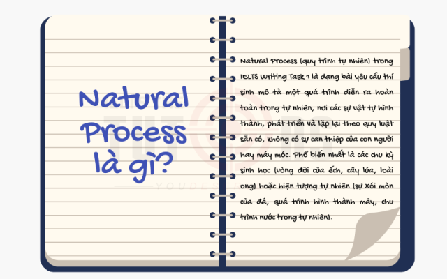 Natural Process Sign Cách viết Natural Process trong IELTS Writing task 1
