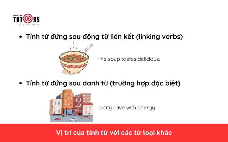 Vị trí của tính từ trong câu