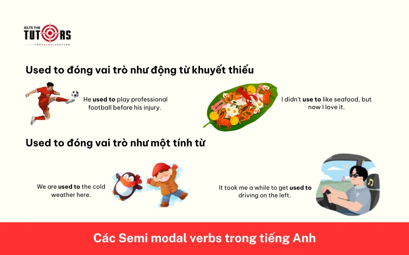 động từ bán khuyết thiếu used to