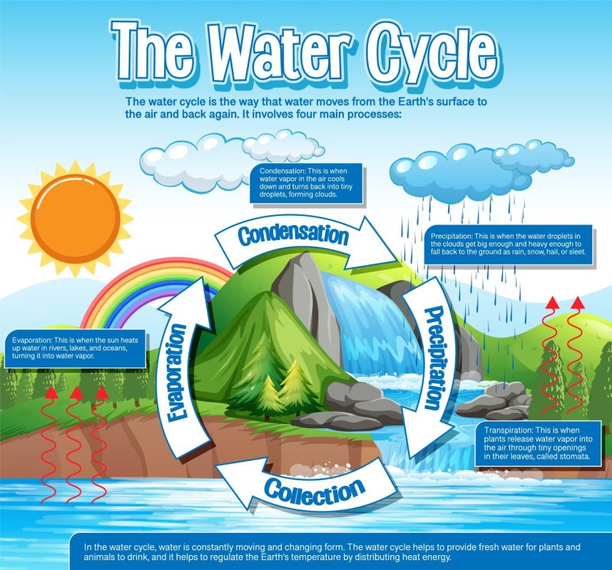 The water cycle diagram for science education illustration