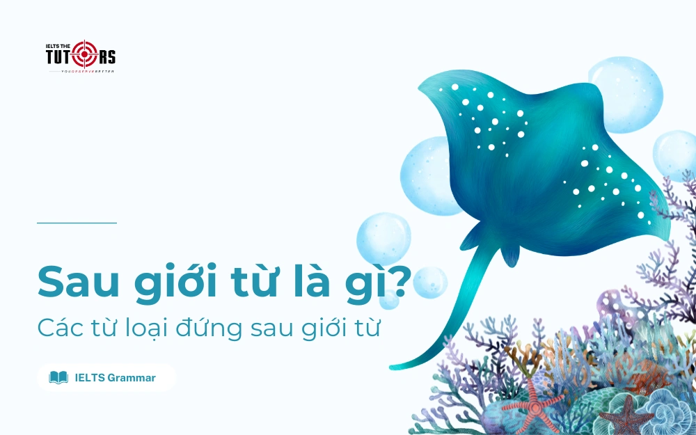 Sau giới từ là gì thumbnail