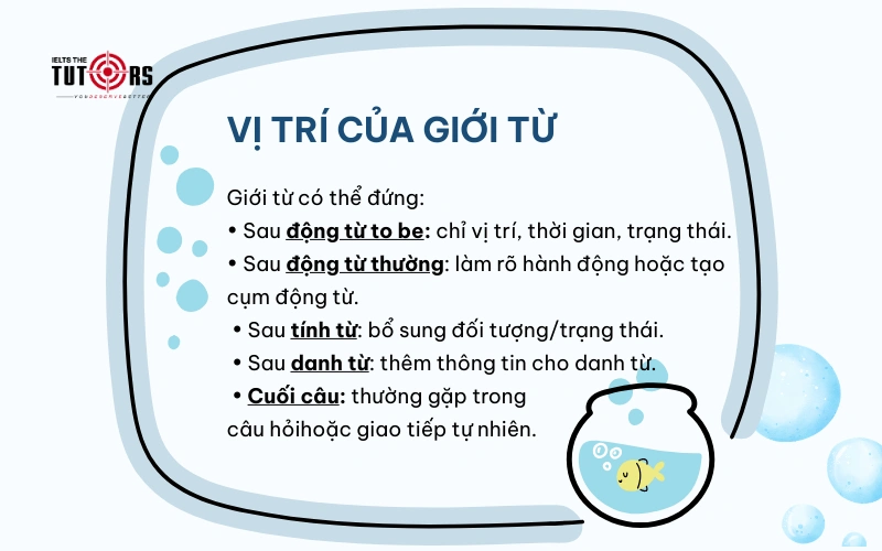 Vị trí của giới từ
