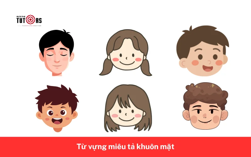 Từ vựng miêu tả khuôn mặt 150426