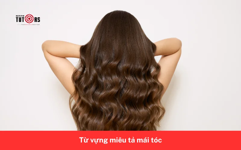 Từ vựng miêu tả mái tóc