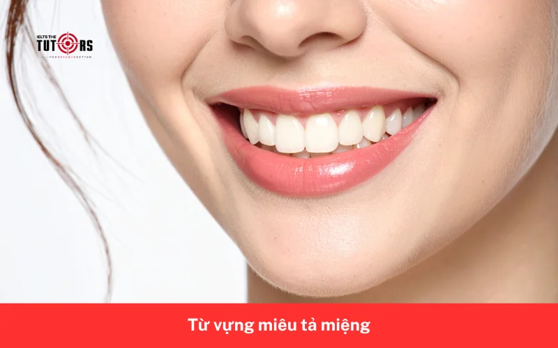 Từ vựng miêu tả miệng