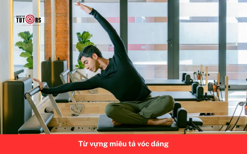 Từ vựng miêu tả vóc dáng