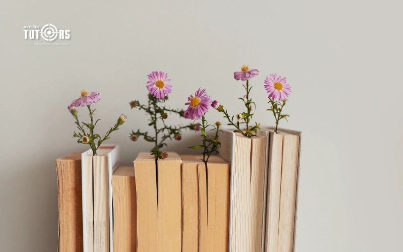 hình minh họa tài liệu học tập