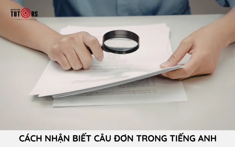 Cách nhận biết câu đơn trong tiếng Anh