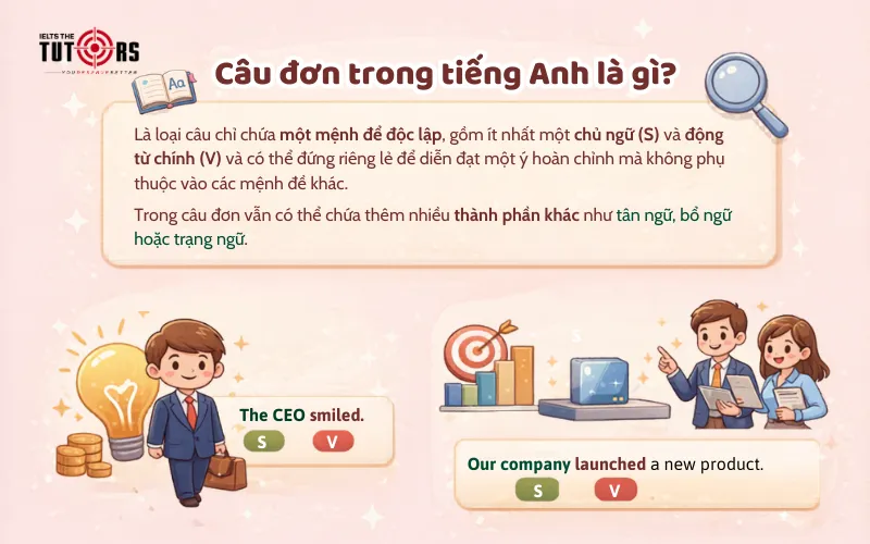 Câu đơn trong tiếng Anh là gì