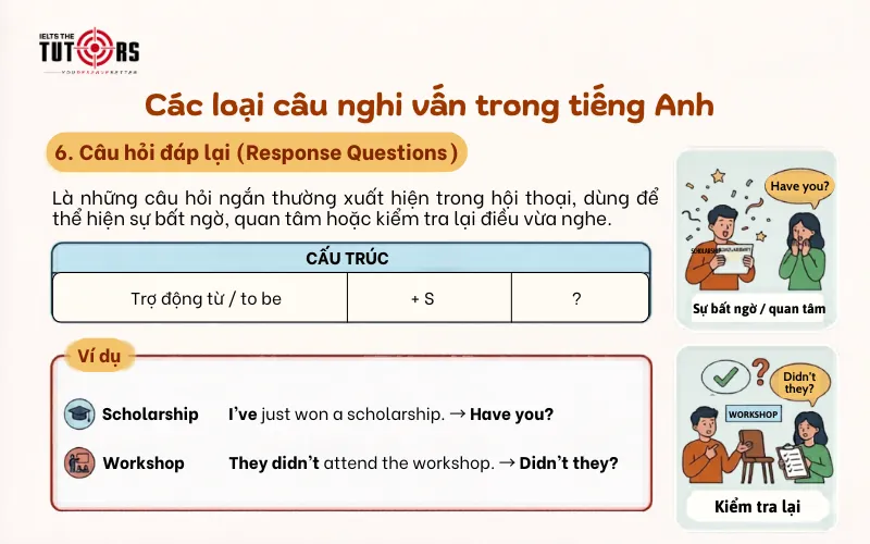Câu hỏi đáp lại (Response Questions)