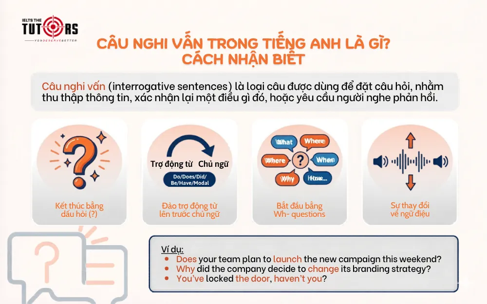 Câu nghi vấn trong tiếng Anh là gì