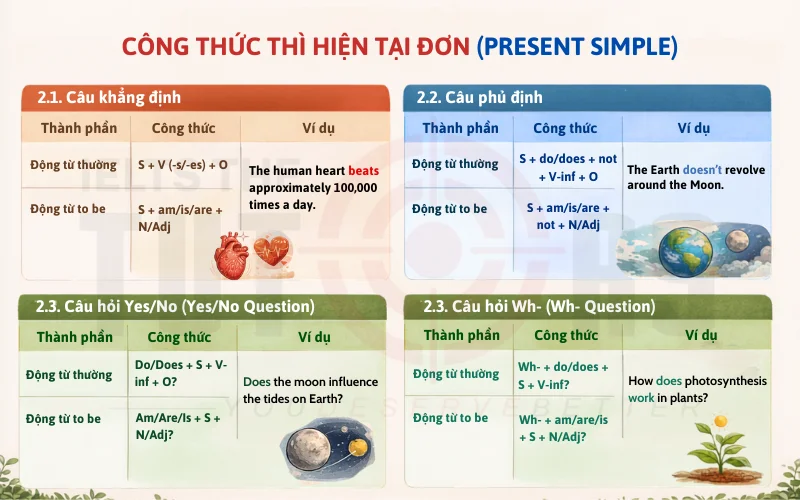 Công thức thì hiện tại đơn