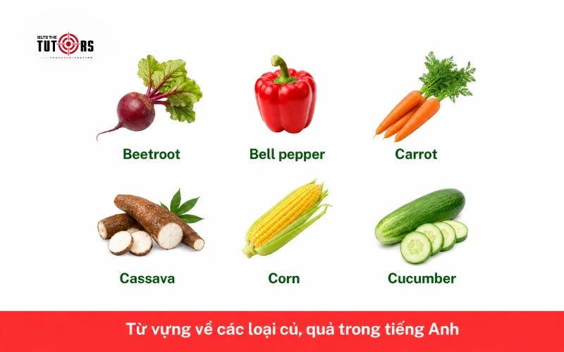 Từ vựng về các loại củ, quả trong tiếng Anh