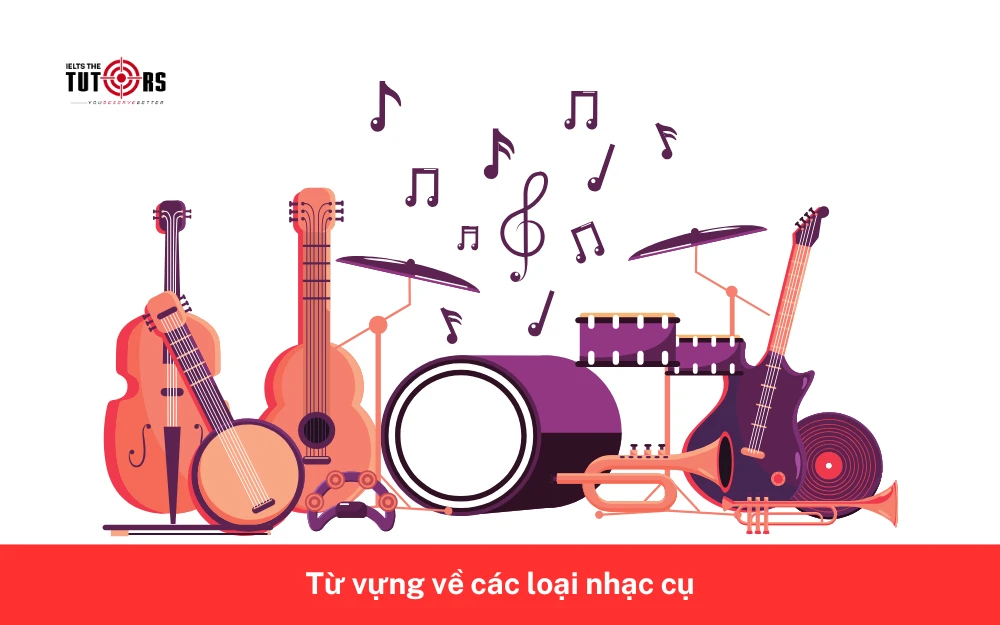 Từ vựng về các loại nhạc cụ