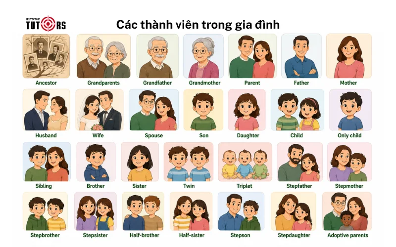 Từ vựng về các thành viên trong gia đình