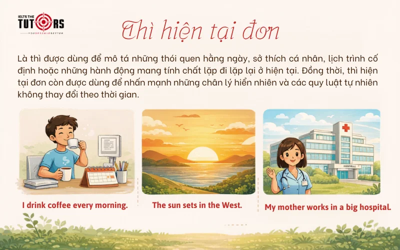 khái niệm Thì hiện tại đơn (Present Simple)