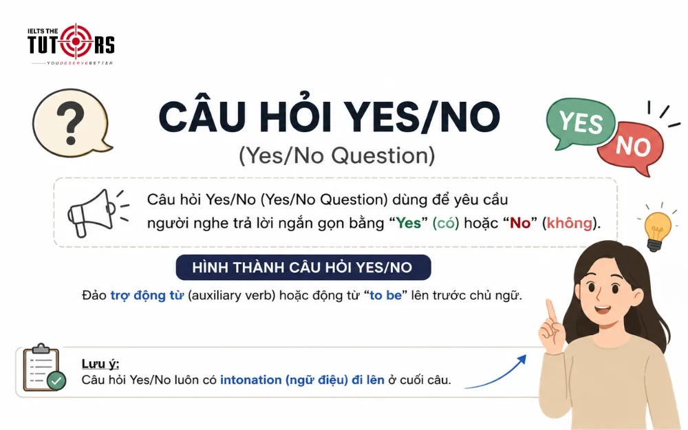 Câu hỏi Yes No Question là gì