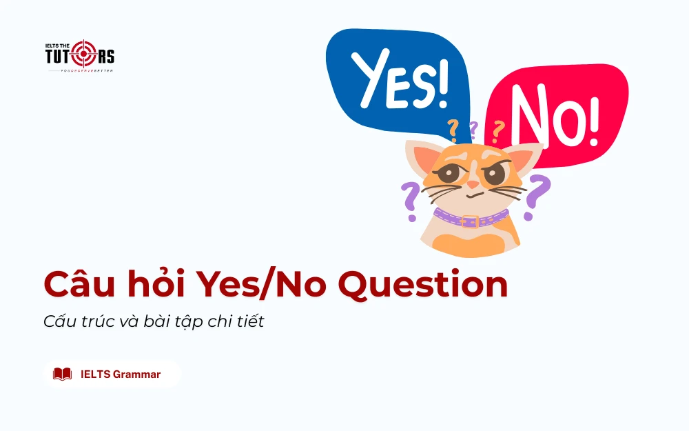 Câu hỏi Yes No Question thumbnail