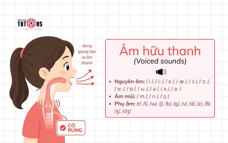 Âm hữu thanh voiced sounds là gì