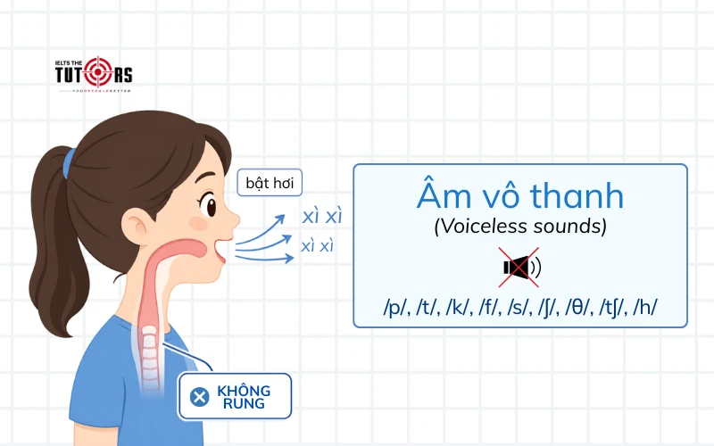 Âm vô thanh voiceless sounds là gì