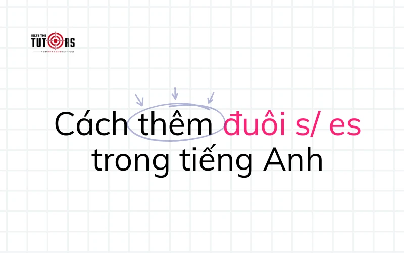 Cách thêm đuôi s es trong tiếng Anh