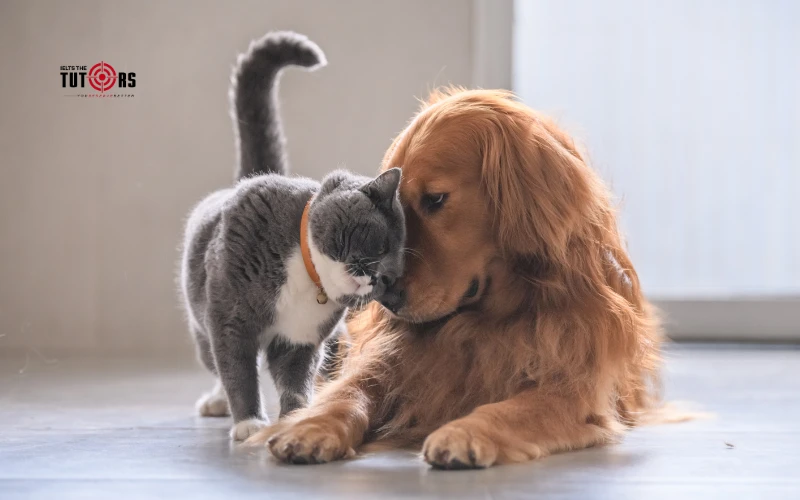 Bài mẫu IELTS Speaking part 1 topic Pets and Animals