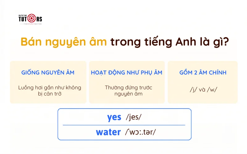 Bán nguyên âm trong tiếng Anh là gì