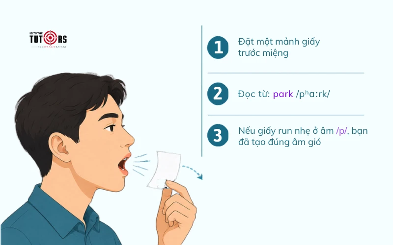 Cách phát âm âm gió p trong tiếng Anh