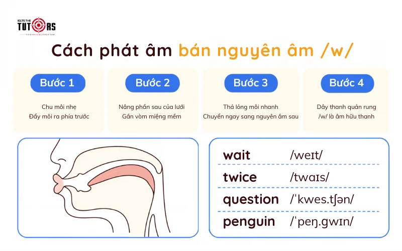 Cách phát âm bán nguyên âm w