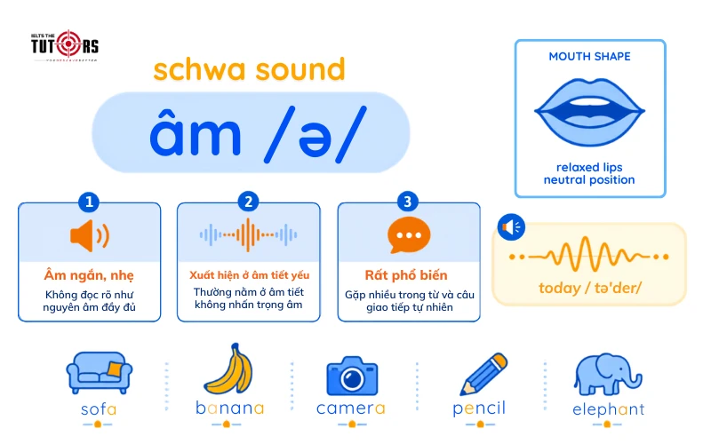 Schwa sound là gì