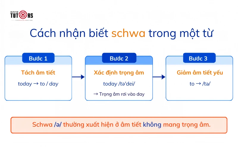cách nhận biết schwa sound trong một từ