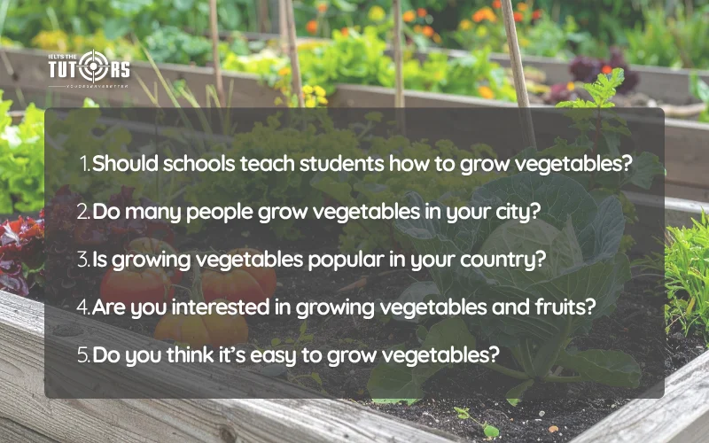 câu hỏi thường gặp trong IELTS Speaking part 1 topic Growing vegetables and fruits