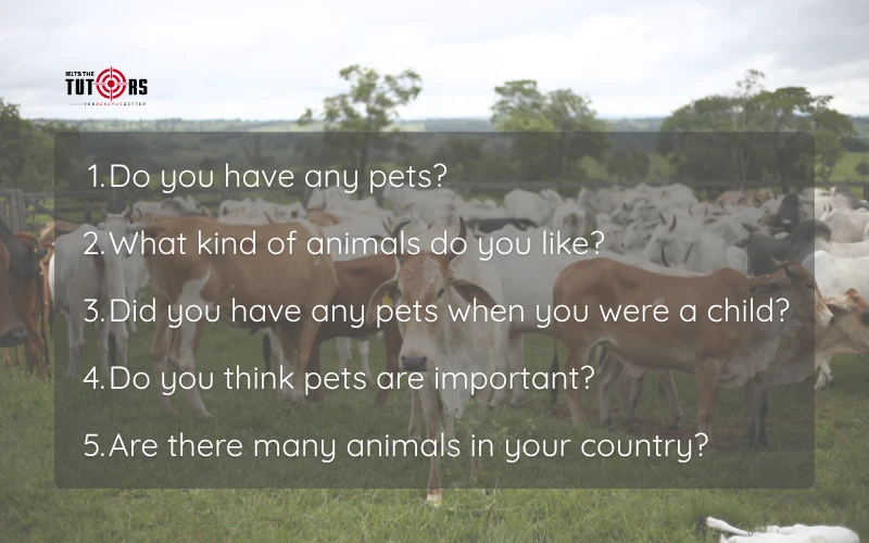 câu hỏi trong IELTS Speaking part 1 topic Pets and Animals