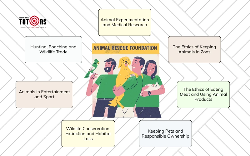Các vấn đề thường gặp trong IELTS Writing task 2 Animal rights topics