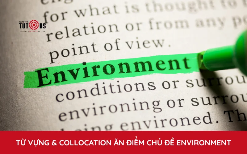từ vựng và collocation trong IELTS Writing task 2 topic Environment